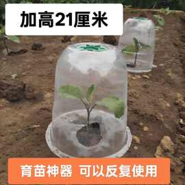 园艺蔬菜保温育苗塑料透气种植保护幼苗防冻透明植物闷养恒温