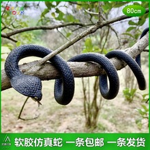 �������R�ߺ�ɫܛ�z���׃��@��ͯ�J֪����߇��ː�����߄���ģ��