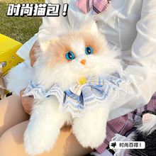 ����ɐ۷��沼ż؈������ż؈�乫��ë�q��������Ů�����նY��