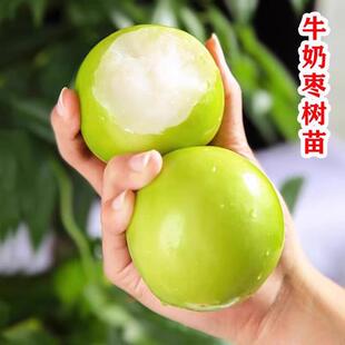 ��������̨�������������ţ�̗��۽z���޽�����������箔��Y��