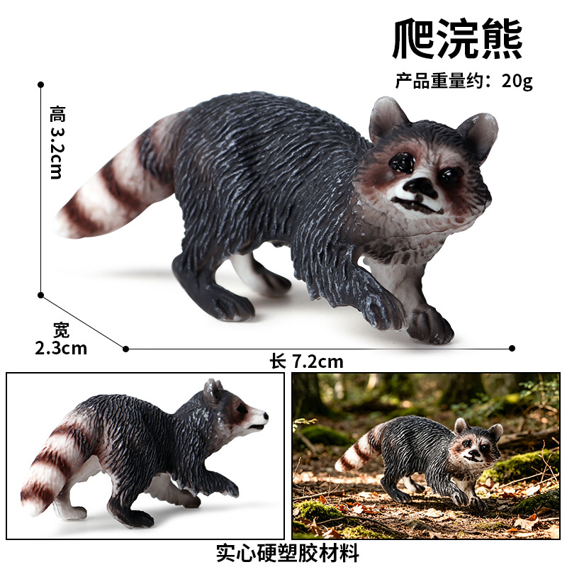 163 mapache trepador
