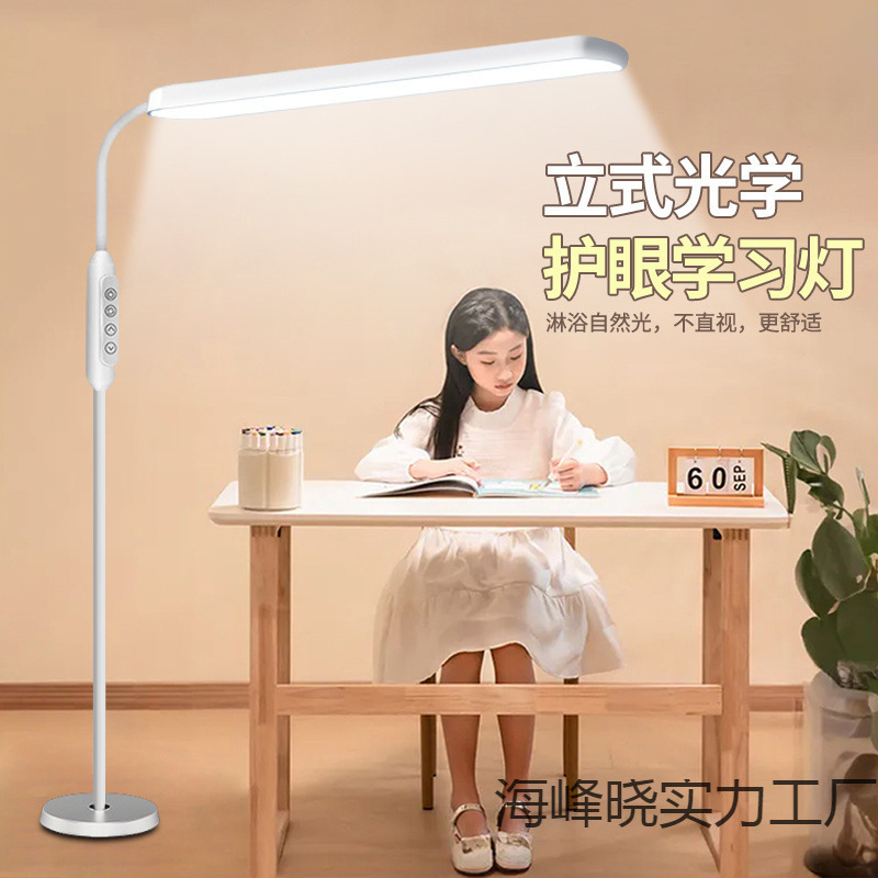 Popular Student Dormitory Eye Protection Floor-Standing Removable Led Street Lamp Table Lamp Anti-Myopia Bedroom Lighting Lighting Special