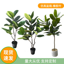 �羳����ڽ������z�~�����Զ����҃ȾGֲ��ؔ[�����콁���辰