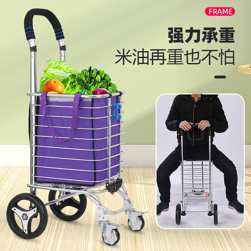家庭用の野菜を買う車の小さい車は折り畳みして携帯のショッピングカートのポールの車の老人を引っ張ります。|undefined