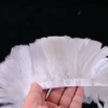 White midfish belt 1 treaty 2 meters