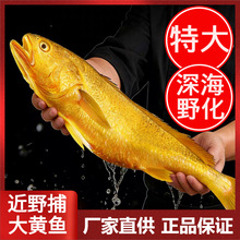 ����Ұ�����S�~������b�S���~����Ұ�����S���~���u�l����S�~