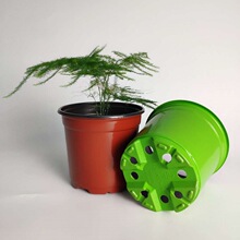 ����P�pɫ����11���׼Ӻ��ɫ�������бP����ڷ����ϻ����ֲ��