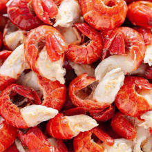 �F�����rβ����r��o���´��rβ���r���̖���rβ������r�rβ