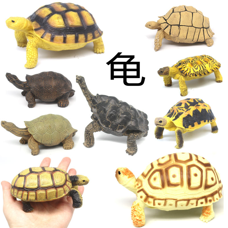 仿真龟模型玩具乌龟鳄龟甲鱼海龟巴西龟象龟水龟草龟水族造景摆设