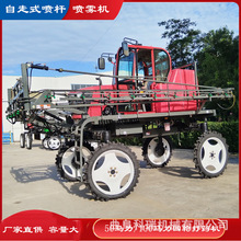 {ʽ݆ș܇ ȫԄʽUFC С׶^șC