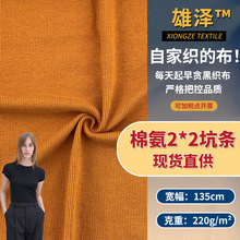 棉氨2*2坑条 弹力棉织罗纹打底衫面料 时尚T恤连衣裙针织服装面料