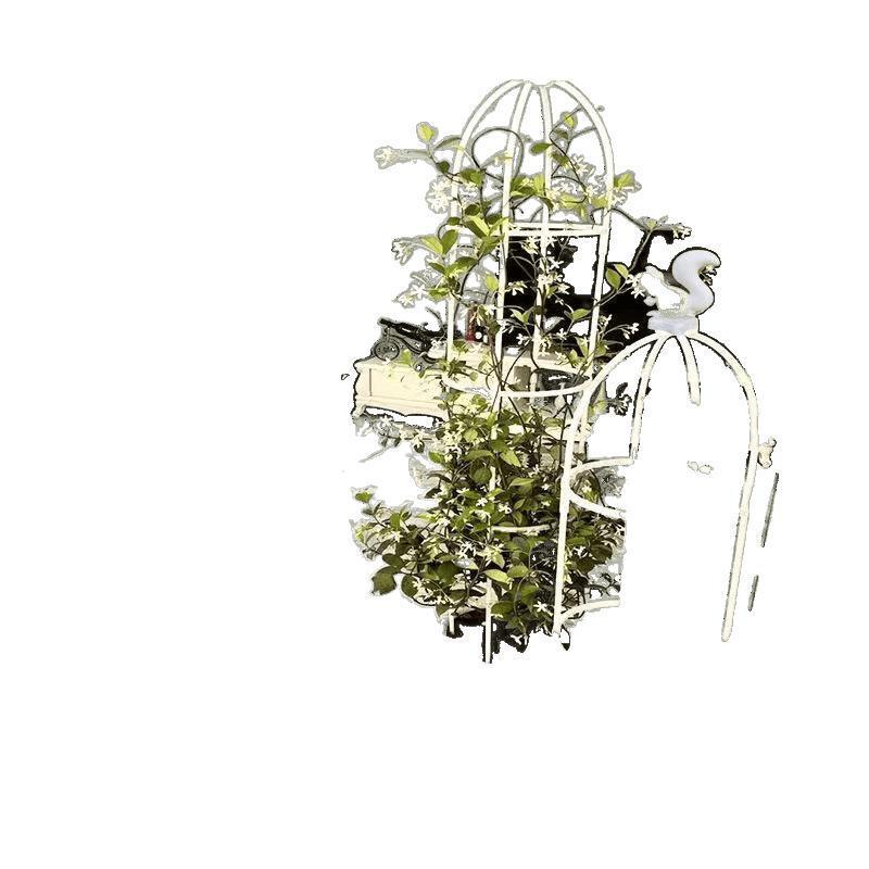 欧式庭院爬藤架阳台绿植支架可拼接多层飘香藤蔷薇花架子室内家用|undefined