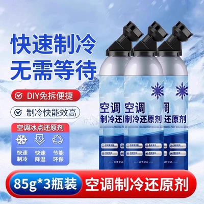 Air cooling agent for vehicle Reducing Agent Refrigerant Summer Car - family-photo-shoot-one-shot-of-three-got-three-bottles