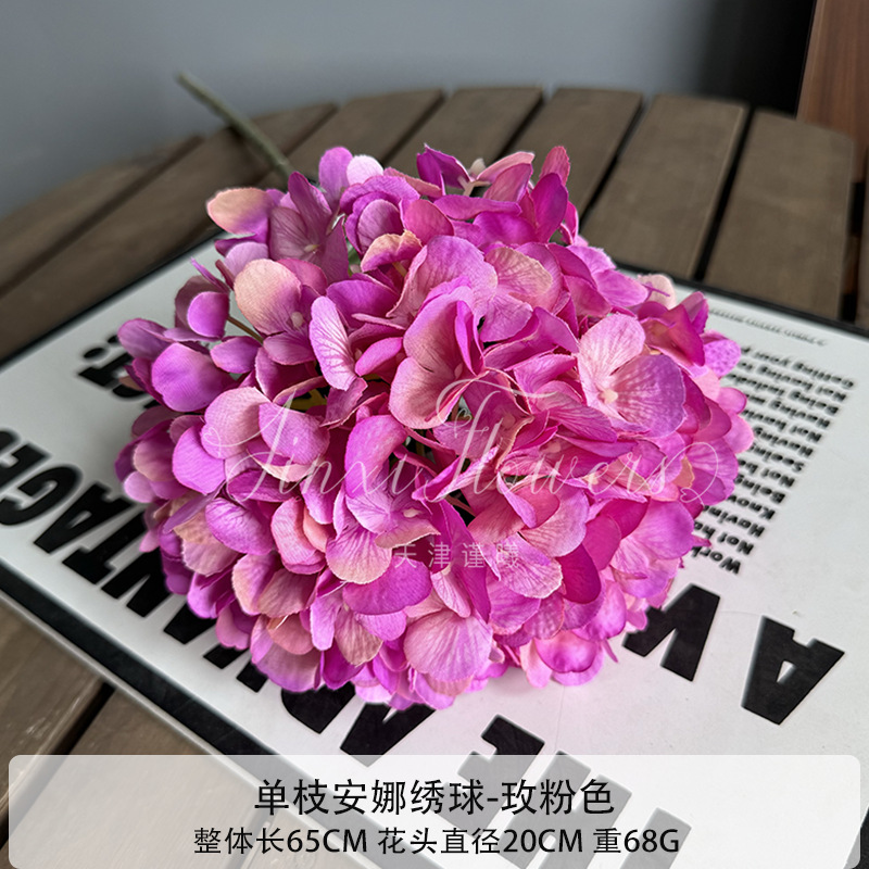 장미 핑크