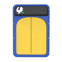 ����Ԅ��u���T�����T�u�\����\�ԄӸБ��u���T