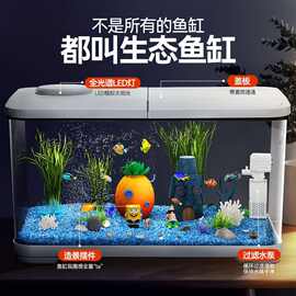 鱼缸客厅2025新款过滤制氧一体机小型生态造景家用带盖桌面金鱼缸