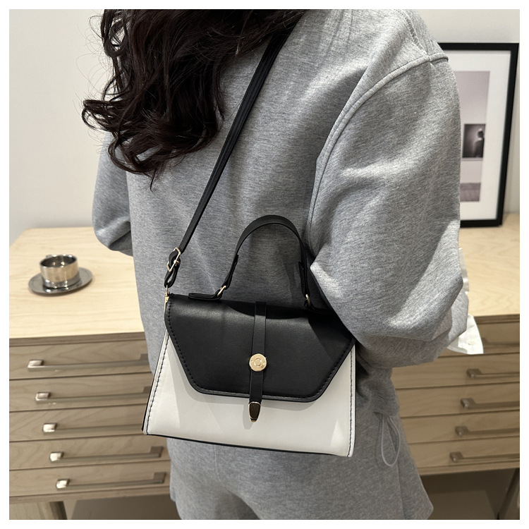 Women's Small Pu Leather Color Block Classic Style Square Magnetic Buckle Crossbody bag BAX display picture 27