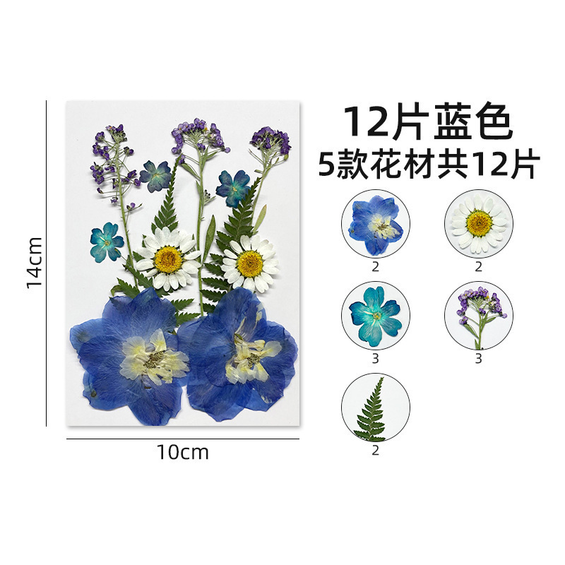 ins森系抹茶绿复古手账本东巴手工纸植物diy送朋友礼物小众纪念品|undefined