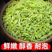 �����㽭������ǰ�ײ��r�� ���� ����