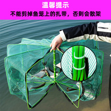 折叠方形虾笼鱼网龙虾网加厚折叠捕鱼抓鱼笼子黄鳝笼捕虾网河虾网