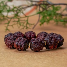 ��̴ľ��Ů�������������ִ��S�����l̴��ľ