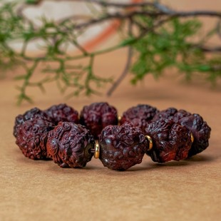 ��̴ľ��Ů�������������ִ��S�����l̴��ľ