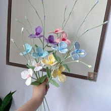 ��Ʒ�h������� ë�������ֹ������鼆���m���滨 �羳ᘿ�����
