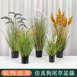 �k�����b��쾰ëë�ݑ�����湷β�����Ϲ�β�Ͳݸ�����β������