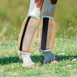 马术用品;酒具套装;包带