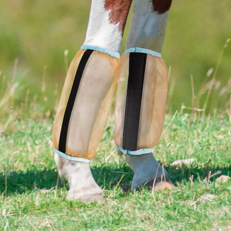 厂家现货马护腿马绑腿马术用品夏季马护腿防蚊马护蹄马护腿套