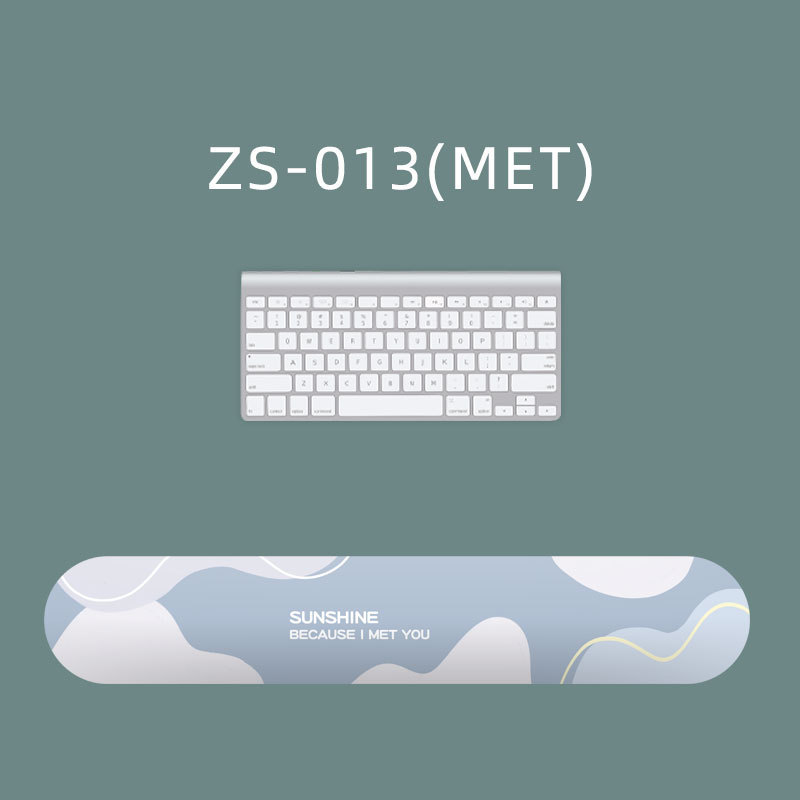 ZS-013