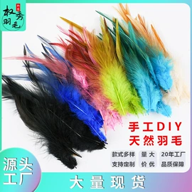 羽毛、羽绒;发夹;发带