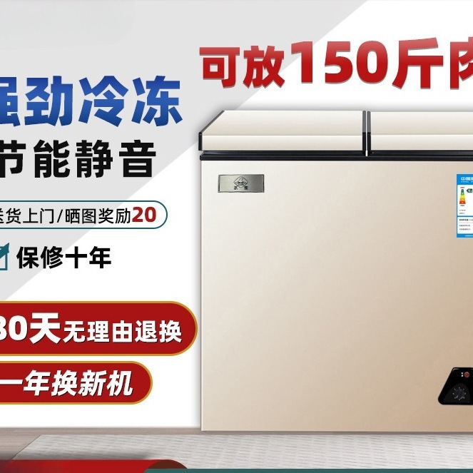 无霜冻货小冰柜小型家用全冷冻冷藏两用柜迷你商用冷冻柜一级节能