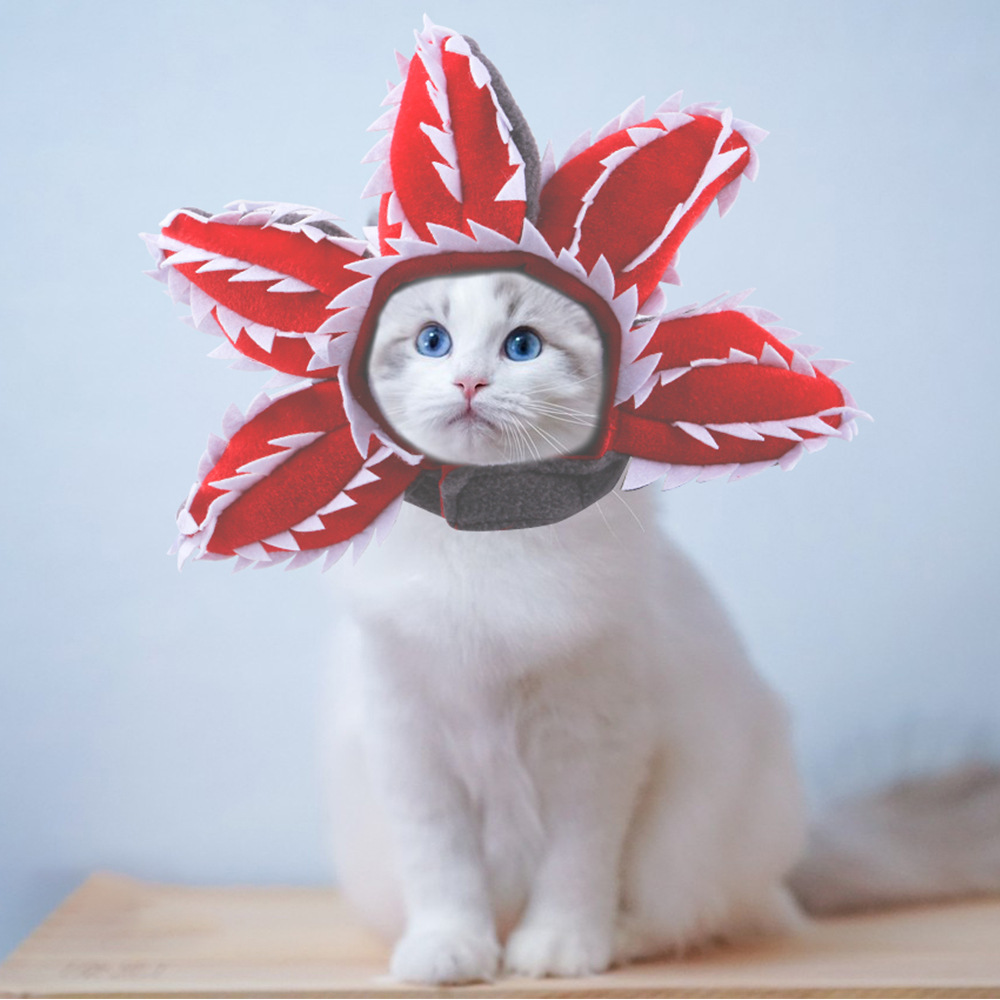 Resumen mascota tocado lindo perro Teddy vestir girasol mascota tocado peluca gato sombrero de Halloween