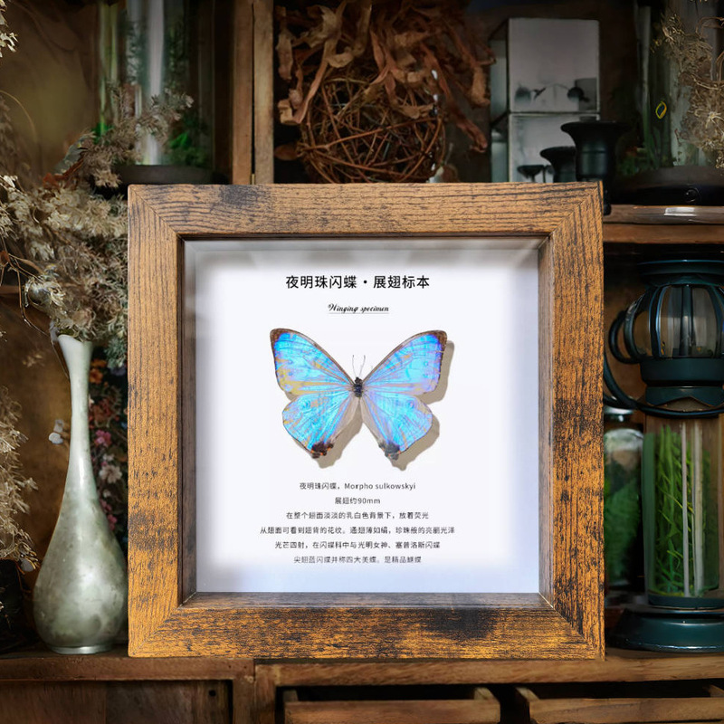 Retro Three-Dimensional Hollow Photo Frame with 2cm Deep Glass, Dust-Proof Butterfly and Insect Specimen DIY Handmade Display Ornament Retro Three-Dimensional Hollow Photo Frame with 2cm Deep Glass, Dust-Proof Butterfly and Insect Specimen DIY Handmade Display Ornament