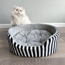 ؈�䰲ȫ�иC������ů����]؈�C؈؈˯�X�C������������]؈�C