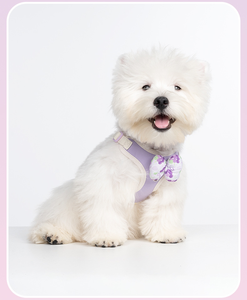 Dog Harness With Interchangeable Bow Tie For Small Dogs Outdoor_voghion.com