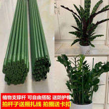 �����m�m�����X�����ٻ���֧�ΗU���ٹ̶�ֲ��Gֲ�����U�A��