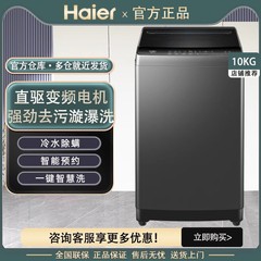厳選-ハイアール波輪式洗濯機 10kg 大容量全自動家庭用ダイレクトドライブインバーター ダニ除去機能付き Mate1