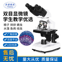 双目学生显微镜教学实验室显微镜科普中学显微镜非玩具高倍显微镜