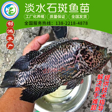 ˮBֳˮʯ~ Ϫʯ~ ~ w~