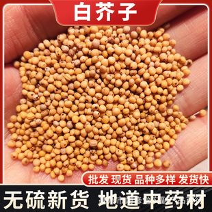 ��؛�������l�׽��Ӱ׽�׽����S���Ӱ׽��ӷ�