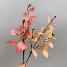 仿真秋色枯色桦树叶 凌霄叶 桉树叶枯枝秋叶场景布置干花树枝婚庆