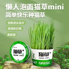 小麦猫草种植猫草盆栽种籽水培盒懒人猫草排毛猫零食用品一件代发