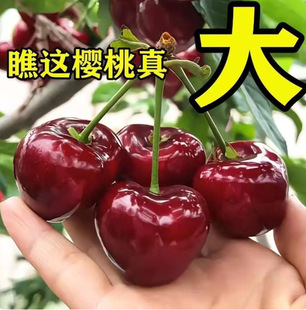 ������ �޽� �S�۴������ �Ϸ��Nֲ �����Nֲ ���� ���ԙ��Ҙ�