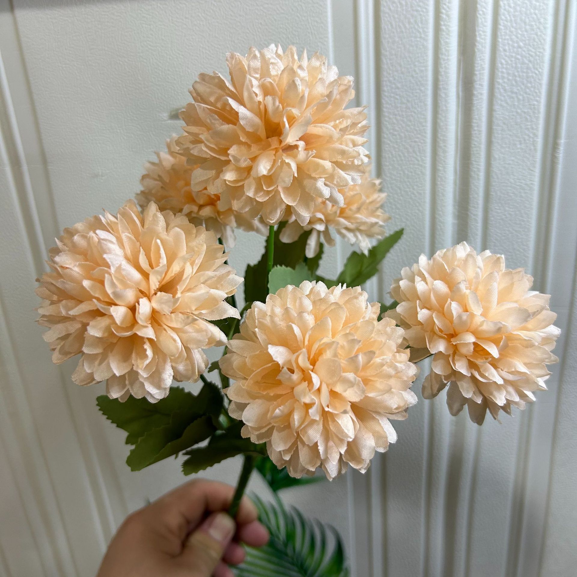 다크 샴페인
