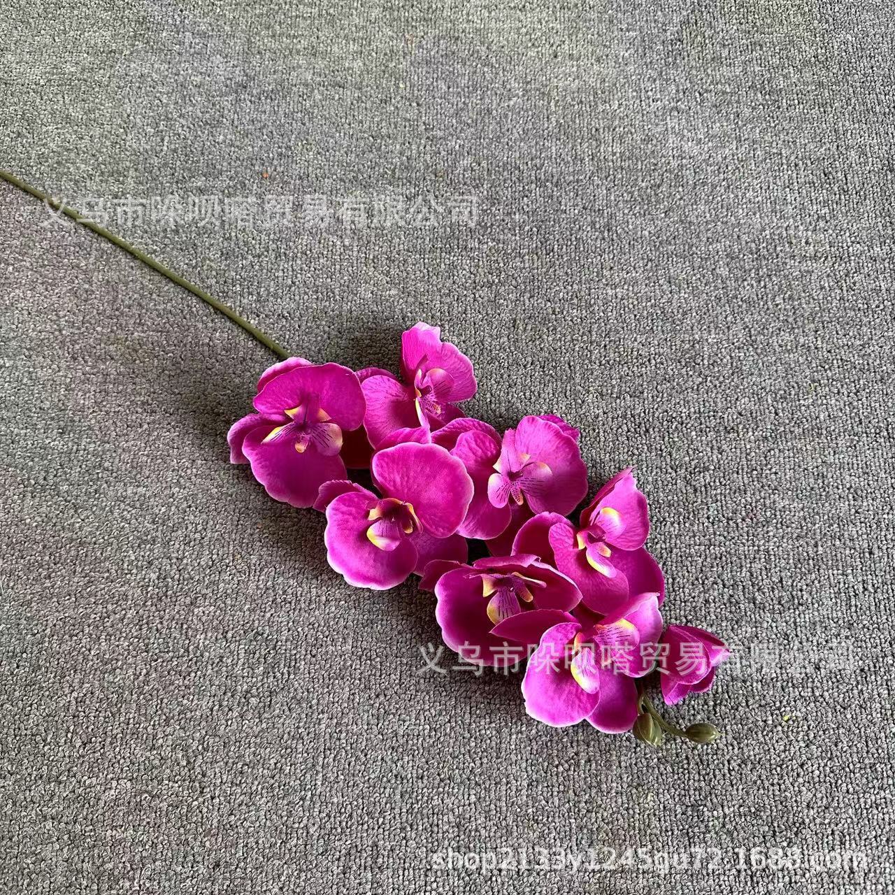 8 실크 호접란-보라색