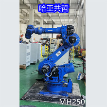 MH250 ���������� ѯ��