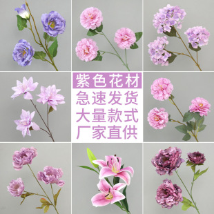 ��ɫ���滨��c�û���Y�bٻ�·�����Y����Ż��������lĵ����