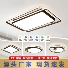 吸顶灯;吊灯;成套灯具